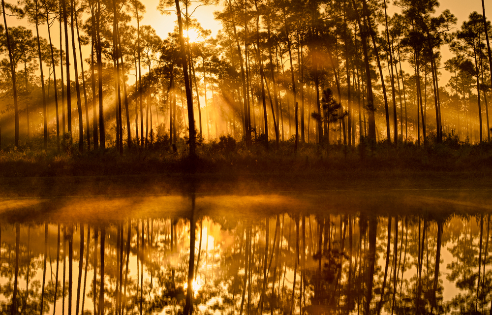 Everglades National Park