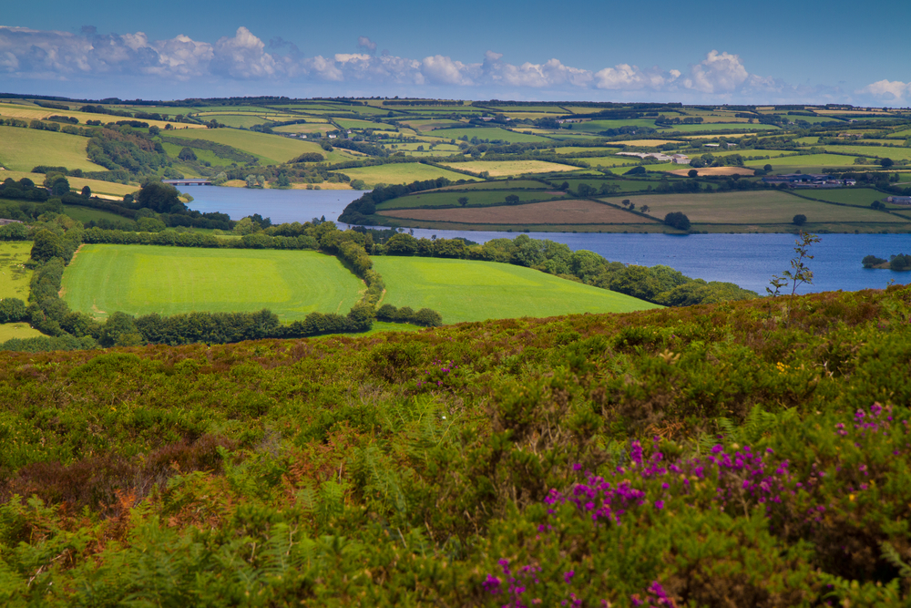 Exmoor National Park