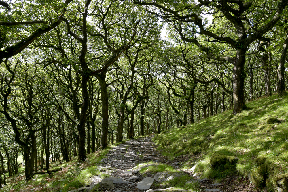 Exmoor National Park