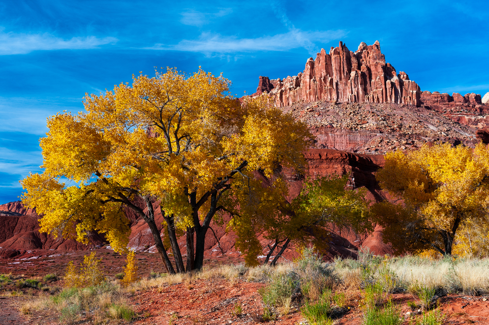Capitol Reef National Park