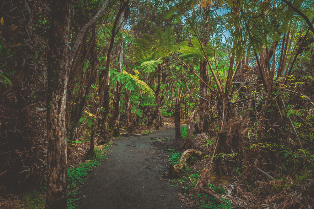 Hawai’i Volcanoes National Park