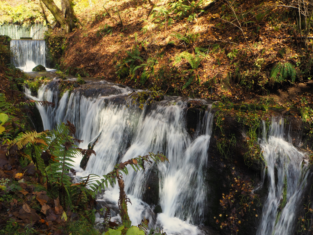 Fuji-Hakone-Izu National Park