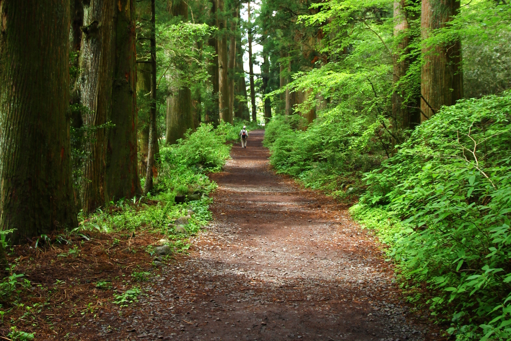 Fuji-Hakone-Izu National Park
