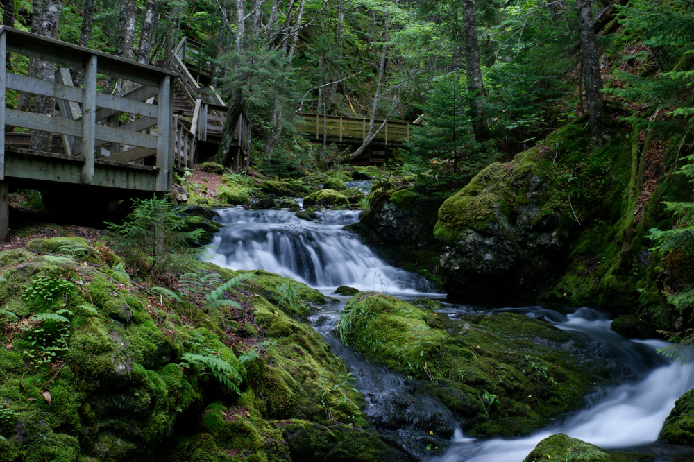 Fundy National Park