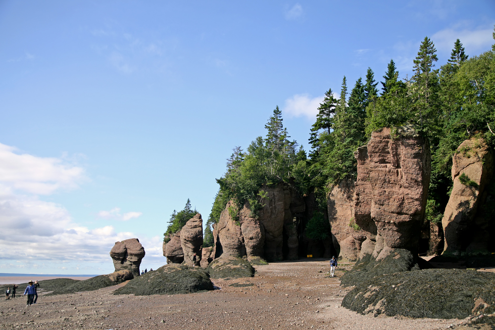 Fundy National Park