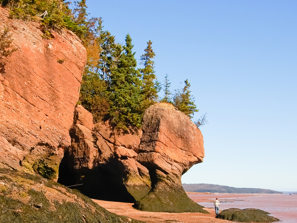 Fundy National Park