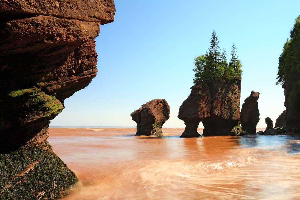 Fundy National Park