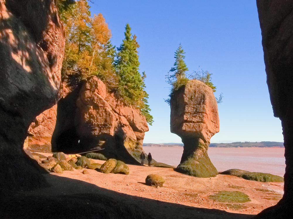 Fundy National Park
