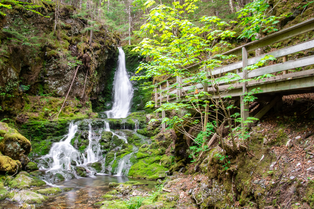 Fundy National Park