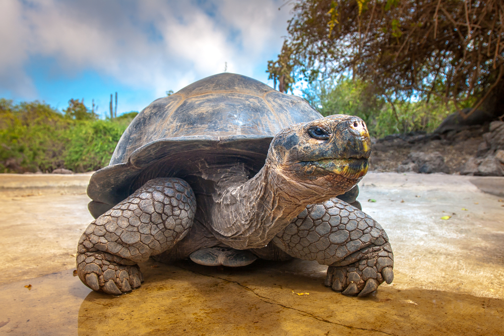 Galapagos National Park