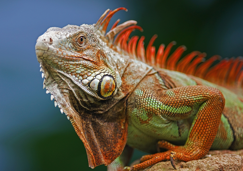 Galapagos National Park