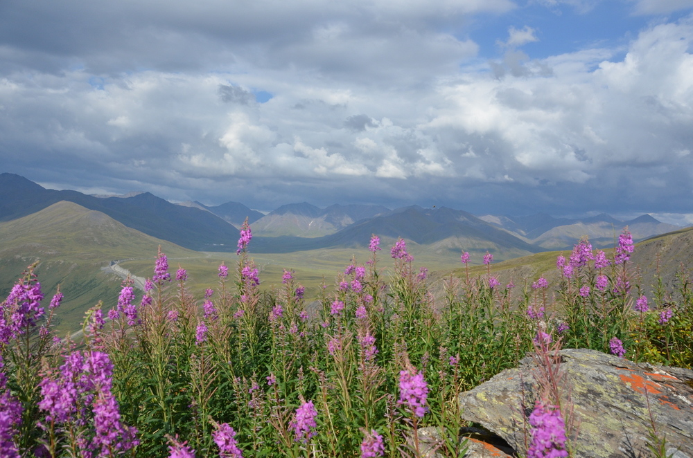Gates of the Arctic National Park