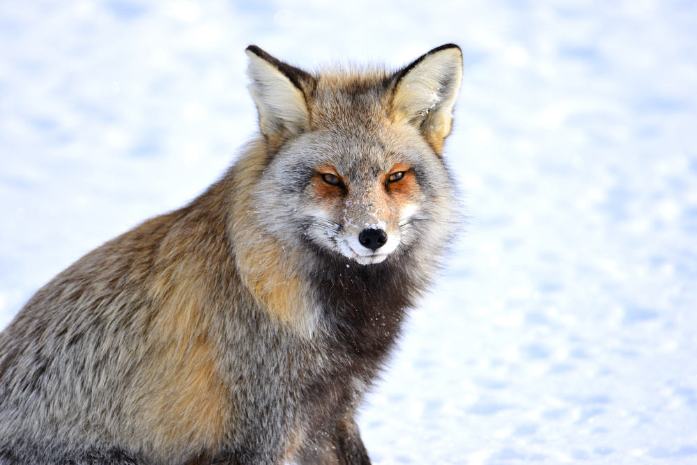Grand Teton National Park