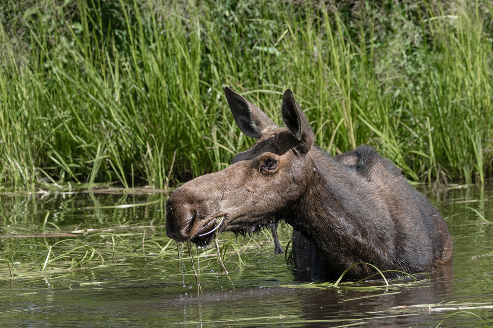 Grand Teton National Park