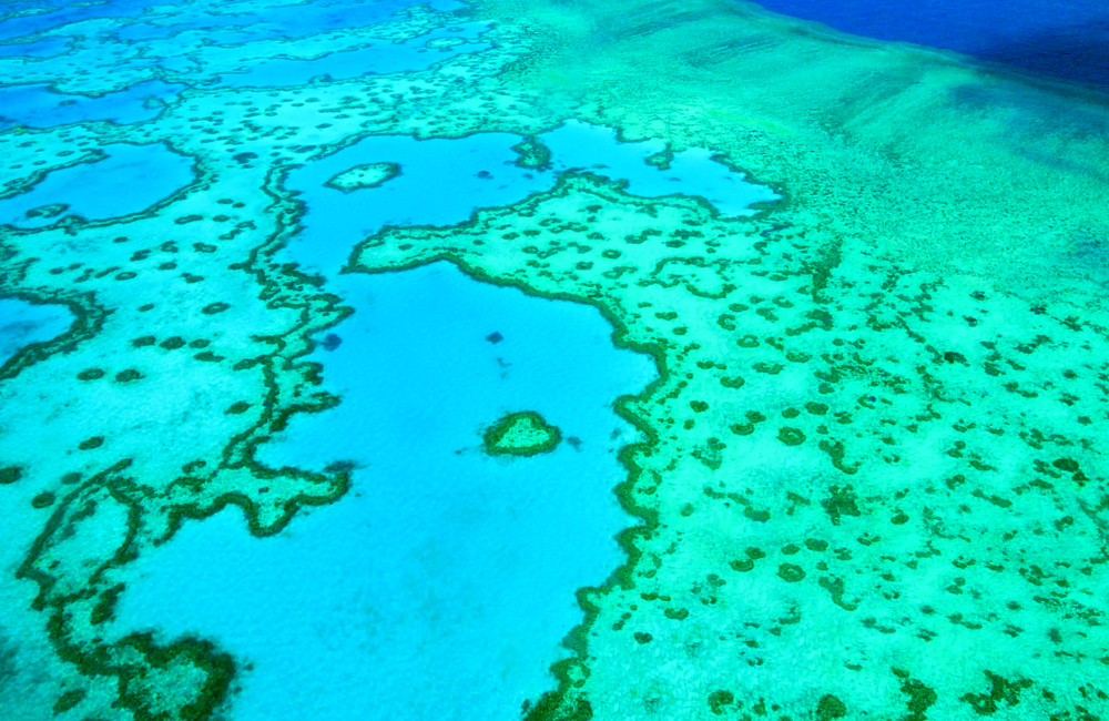 Great Barrier Reef Marine Park