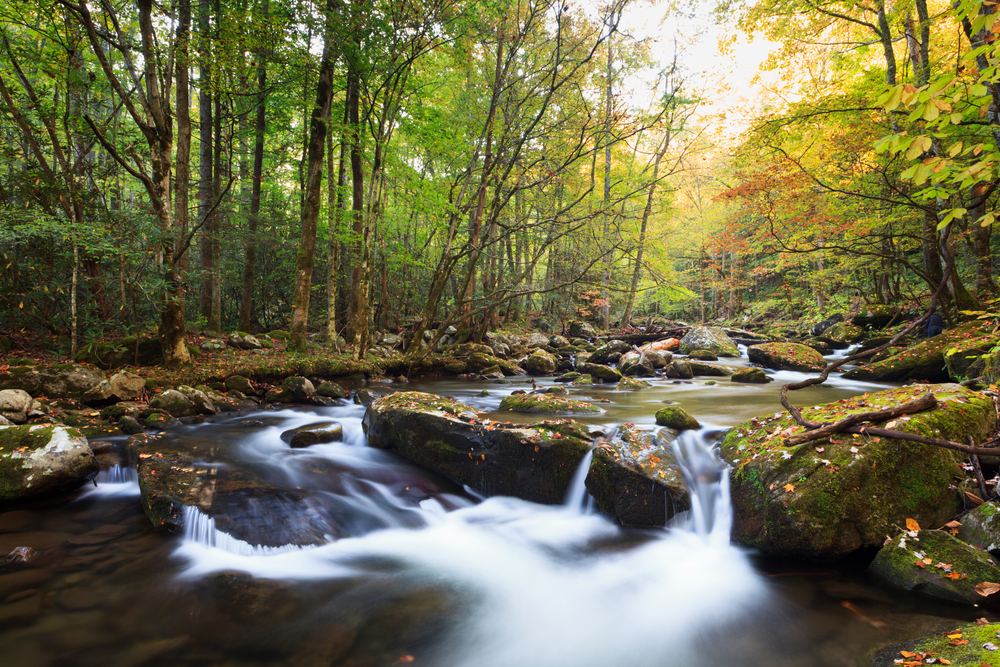 Great Smoky Mountains National Park