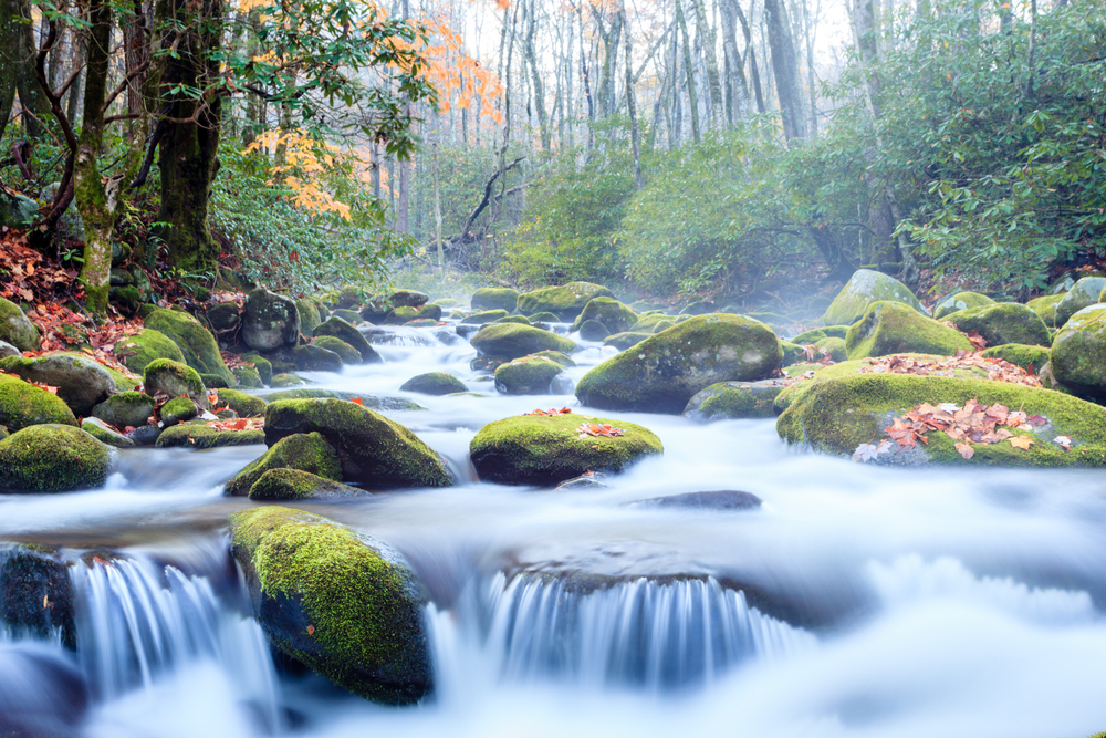 Great Smoky Mountains National Park