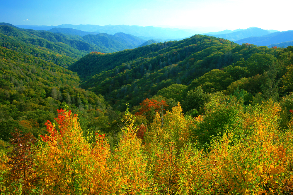 Great Smoky Mountains National Park