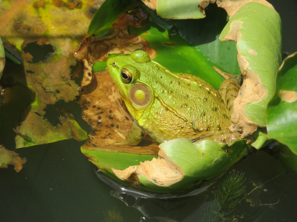 Cuyahoga Valley National Park