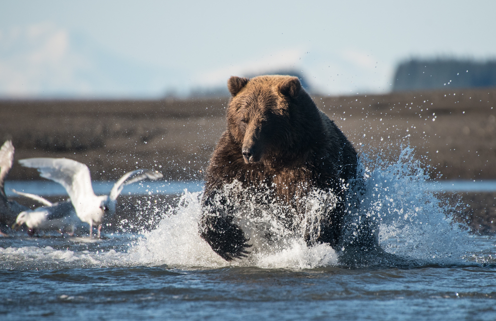 Lake Clark National Park