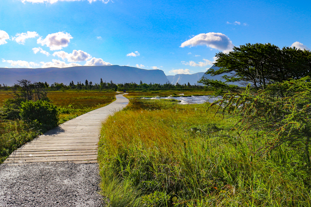 Gros Morne National Park