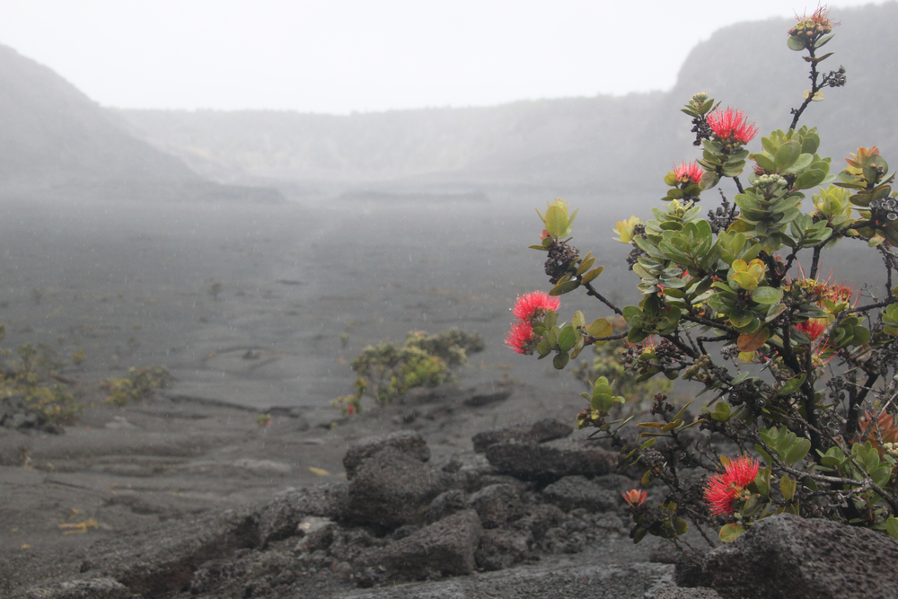Hawai’i Volcanoes National Park