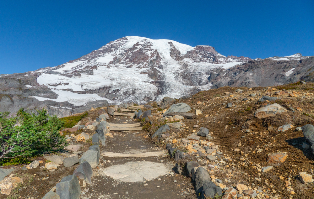 Mount Rainier National Park