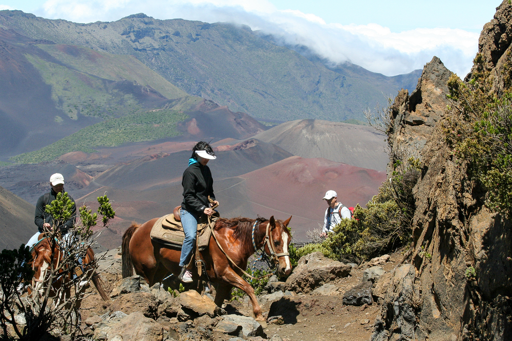 Haleakala National Park