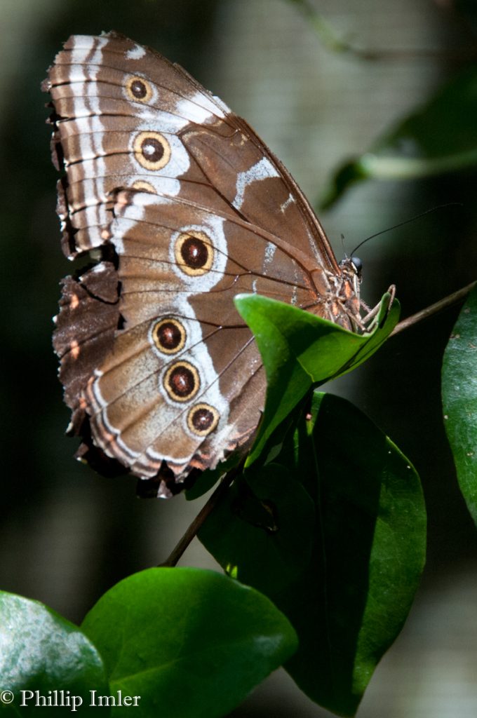 Iguacu National Park
