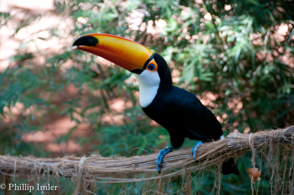 Iguacu National Park