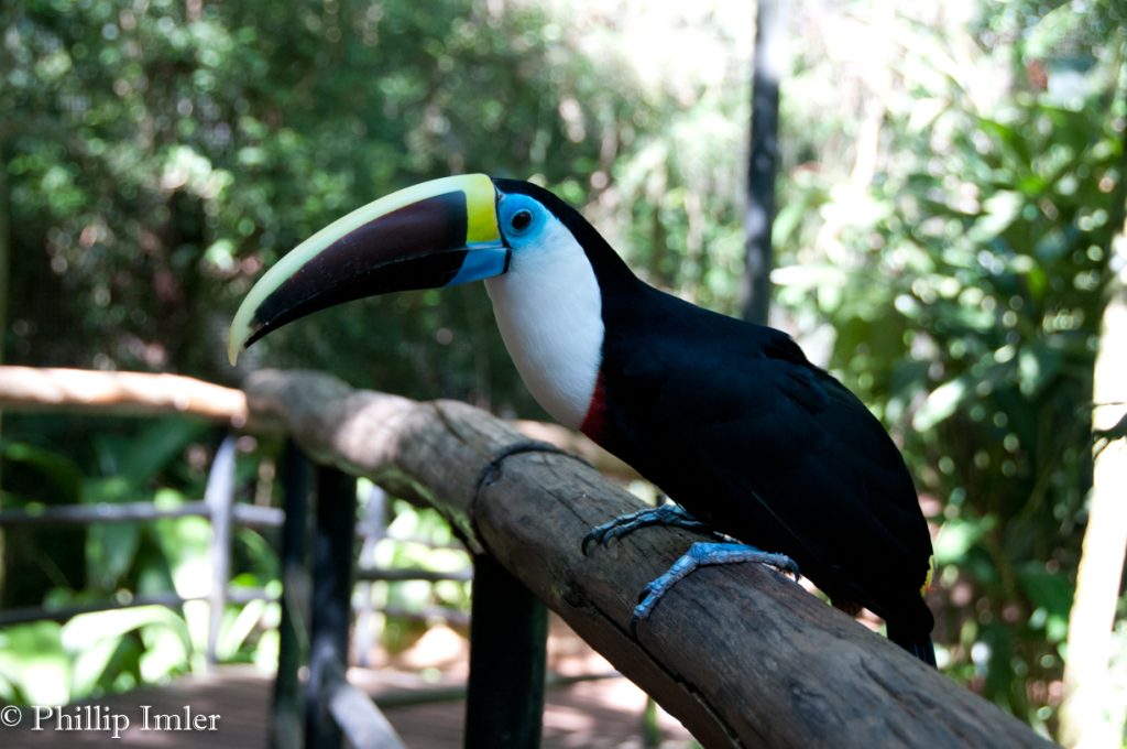 Iguacu National Park