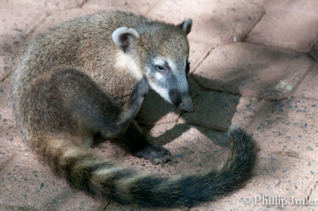 Iguazu National Park