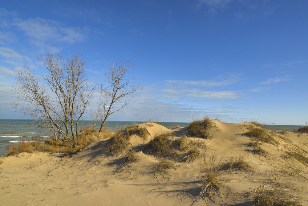 Indiana Dunes National Park