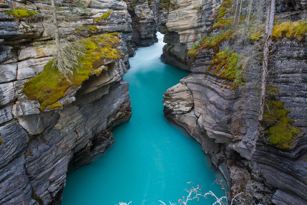 Jasper National Park