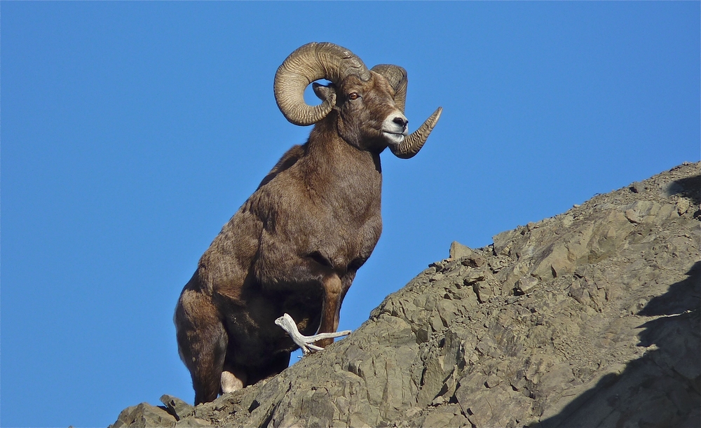 Jasper National Park