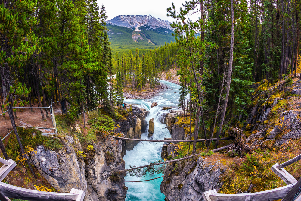 Jasper National Park