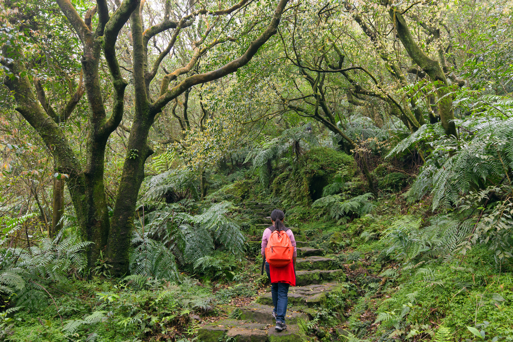 Yangmingshan National Park