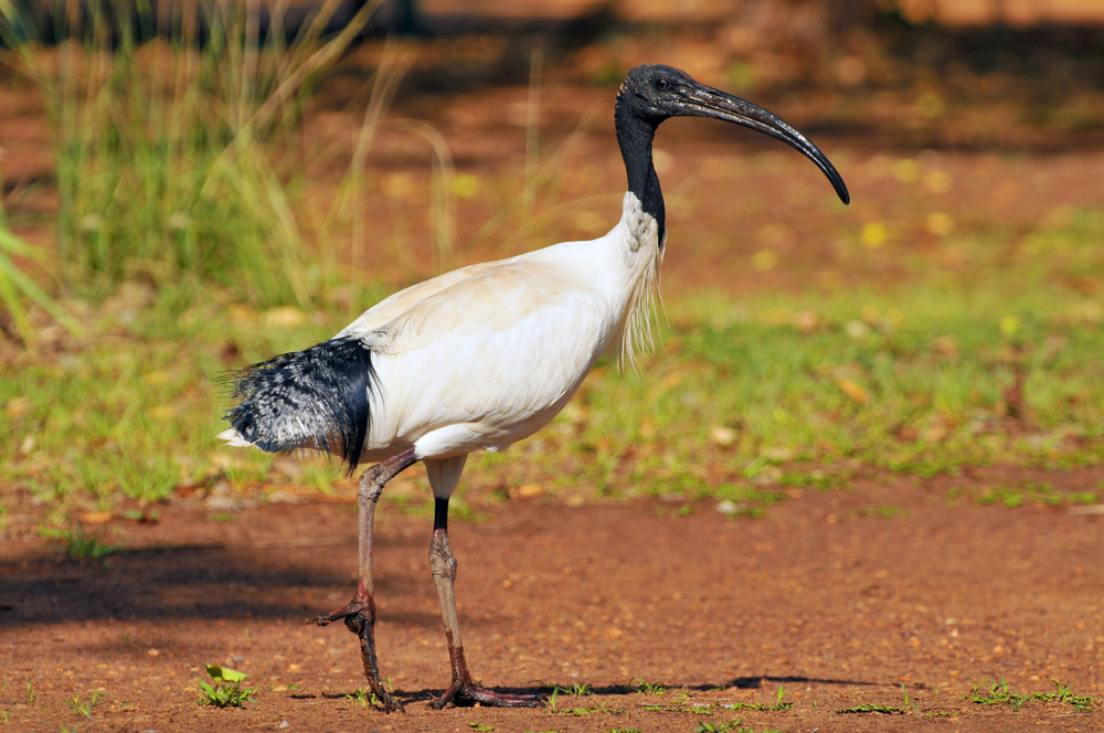 Kakadu National Park