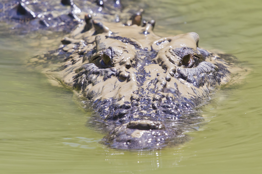 Kakadu National Park