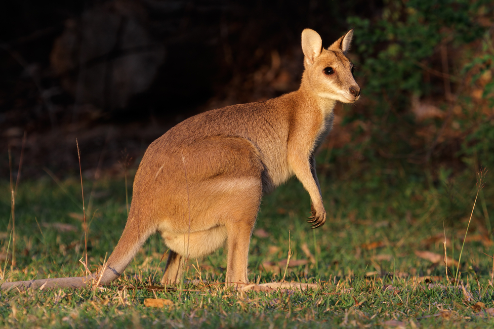 Kakadu National Park