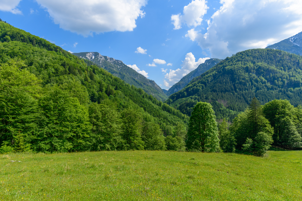 Kalkalpen National Park