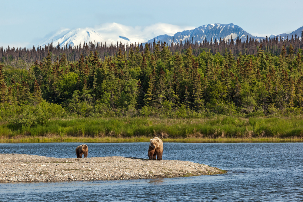 Katmai National Park