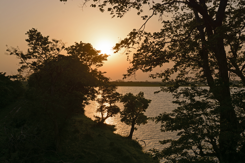 Kaziranga National Park