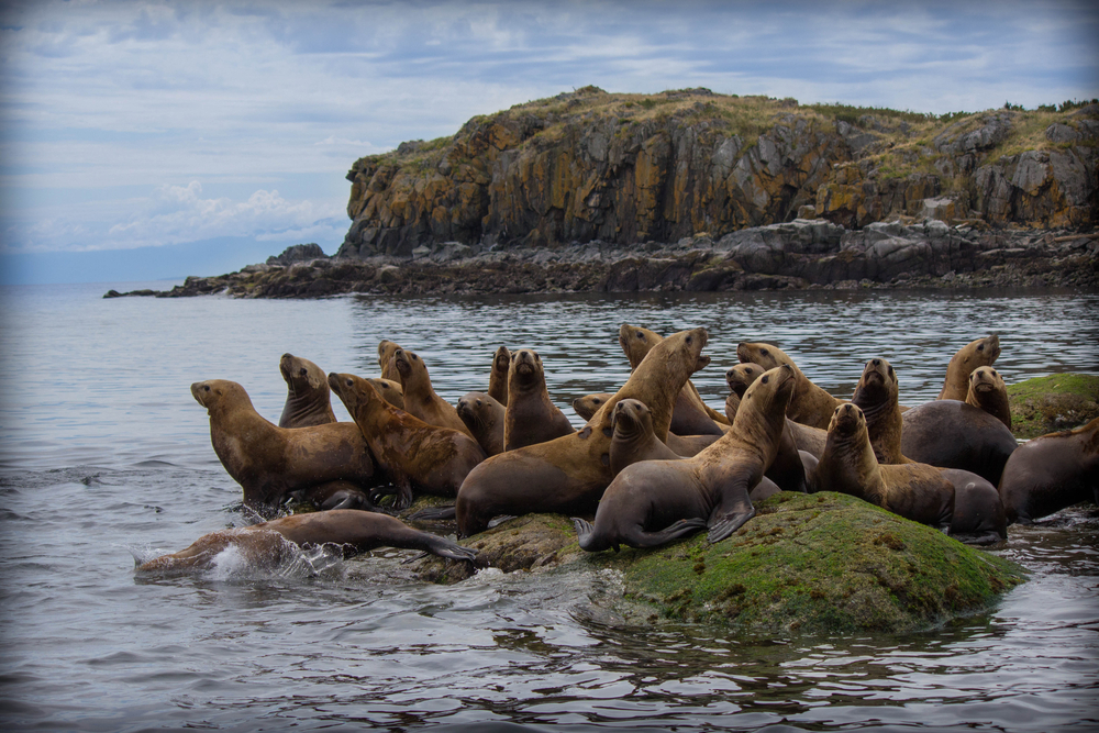 Kenai Fjords National Park