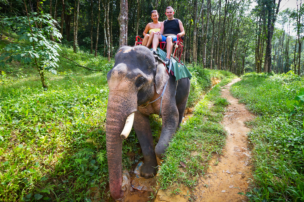 Khao Sok National Park