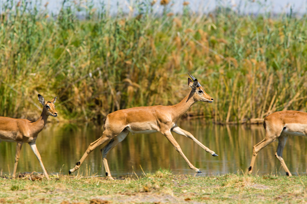 Khaudum National Park