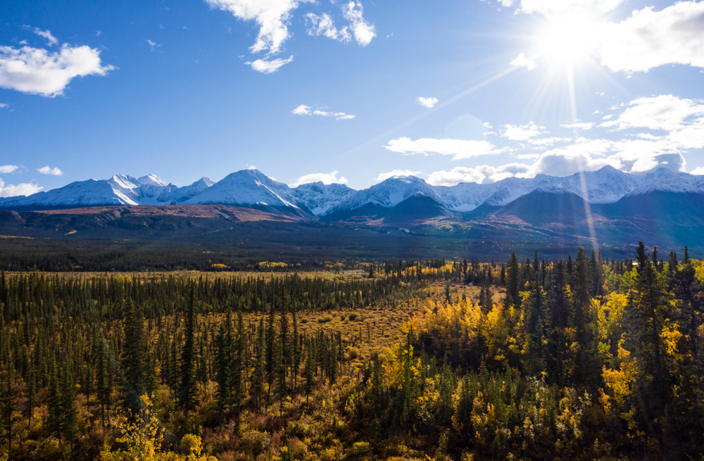 Kluane National Park