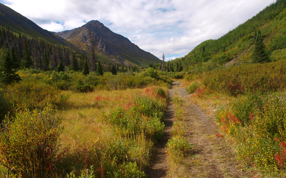 Kluane National Park