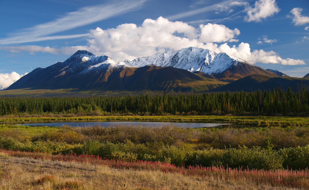 Kluane National Park