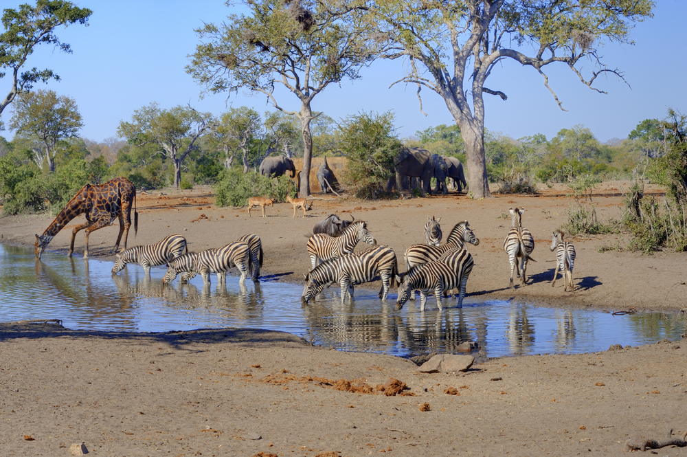 Kruger National Park